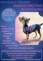 LE LOOK Canin, Tergnier - Horaires d'ouverture