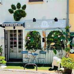 Animal Beauty Toilettage Valbonne Village, - Horaires d'ouverture