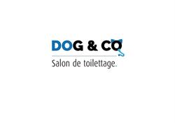 Toilettage Charleville Dog and Co, Charleville-Mézières - Horaires d'ouverture