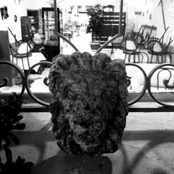 Café lions, Saint-Cézaire-sur-Siagne - Horaires d'ouverture