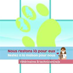 Cabinet Vétérinaire du Docteur Ghestem à Wervicq Sud, Wervicq-Sud - Horaires d'ouverture
