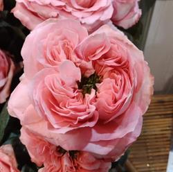 O Fleurs de LO, La Riche - Horaires d'ouverture