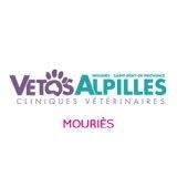Vetosalpilles, Mouriès - Horaires d'ouverture