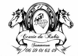 Centre Equestre Ecurie du Rubis Pension cheval et Poney club, Sammeron - Horaires d'ouverture