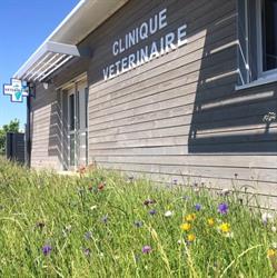 Clinique Vétérinaire de Lure, Forcalquier - Horaires d'ouverture