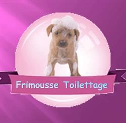 Frimousse Toilettage, Fontenailles - Horaires d'ouverture