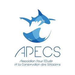 Association Apecs, Brest - Horaires d'ouverture