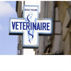 Clinique Vétérinaire Vet'Estey du Porge, Le Porge - Horaires d'ouverture