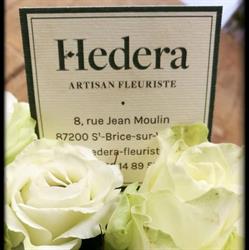Hedera, Saint-Brice-sur-Vienne - Horaires d'ouverture