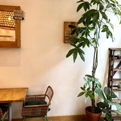 Paper Plane, Nice - Horaires d'ouverture