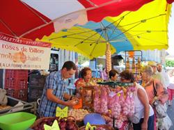 Ail rose de billom, Sebastien Bourletias, Espirat - Horaires d'ouverture
