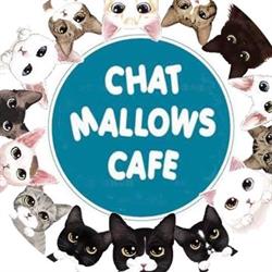 Chat Mallows Café, Paris - Horaires d'ouverture