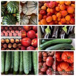 Au Gré du Bio -Membre du réseau Accord Bio, Audenge - Horaires d'ouverture