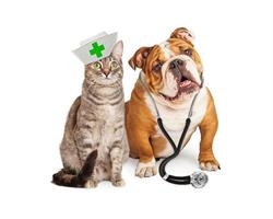 Clinique vétérinaire Dr Haurou-Patou Hervé, Caudry - Horaires d'ouverture