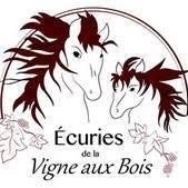 Ecurie de la Vigne aux bois, Avensan - Horaires d'ouverture