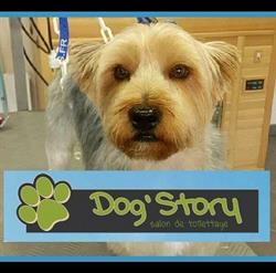 Dog'story, Roye - Horaires d'ouverture