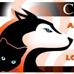 Celtic Dog Show, Pontivy - Horaires d'ouverture