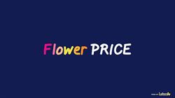Flowerprice argeles, Argelès-sur-Mer - Horaires d'ouverture
