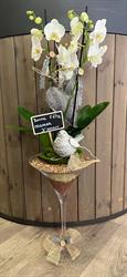 Beauty Fleurs Maubeuge, - Horaires d'ouverture