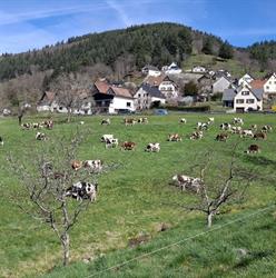 Ferme du versant du soleil, Hohrod - Horaires d'ouverture