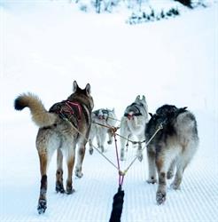 Gite La Patte Nordic, Le Biot - Horaires d'ouverture