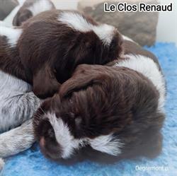 Le clos Renaud, Biencourt - Horaires d'ouverture