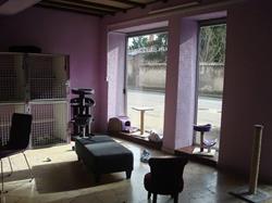 Cat's Cocoon, Rillieux-la-Pape - Horaires d'ouverture