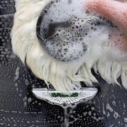 Cocooning Auto Detailing, Thionville - Horaires d'ouverture