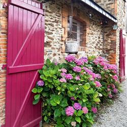 Le gite de la Rivière, Orée-d'Anjou - Horaires d'ouverture