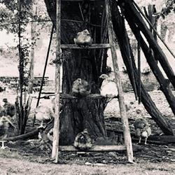 La Ferme Palangue, Serres-Castet - Horaires d'ouverture