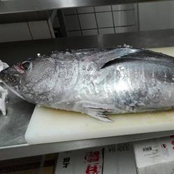 Le Sushi d’Or, Périgueux - Horaires d'ouverture
