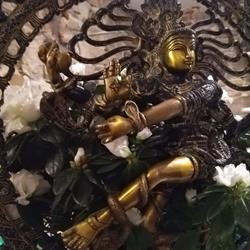 Namasté, Bayonne - Horaires d'ouverture