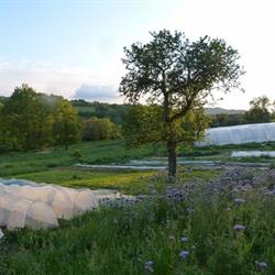 Le Champ des Fourmis, Charbonnières-les-Vieilles - Horaires d'ouverture