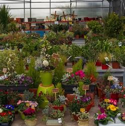 En toutes saisons, Nancras - Horaires d'ouverture