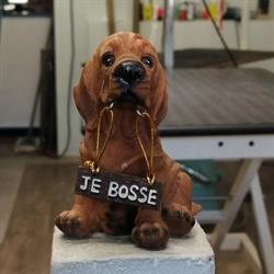 Aux chiens zen Carqueiranne, - Horaires d'ouverture