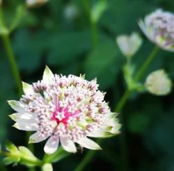 Jardin 4 temps, Kutzenhausen - Horaires d'ouverture