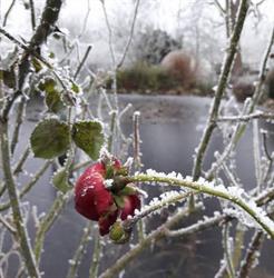 Jardin 4 temps, Kutzenhausen - Horaires d'ouverture