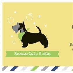 Tendresse Canine & Féline, Pont-à-Vendin - Horaires d'ouverture