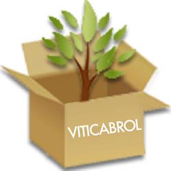 VitiCabrol, Plaissan - Horaires d'ouverture