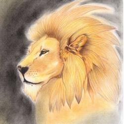 Le lion d or, Celles-sur-Belle - Horaires d'ouverture