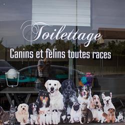 Chic a Poil, Saint-Doulchard - Horaires d'ouverture