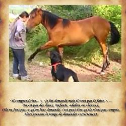 L'Equitation Autrement, Méry-sur-Cher - Horaires d'ouverture