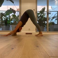 YOGA GARDEN Thérapies - Suzane McGregor Ostéopathe D.O, Beausoleil - Horaires d'ouverture