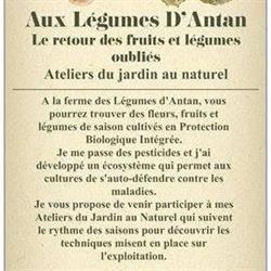 Aux Légumes d'Antan, Offin - Horaires d'ouverture