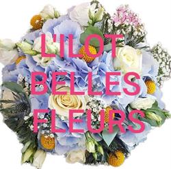 L ILOT BELLES FLEURS, Sauzon - Horaires d'ouverture