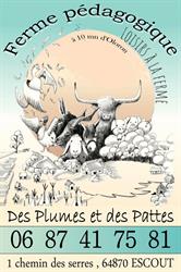 Des Plumes et des Pattes, Escout - Horaires d'ouverture
