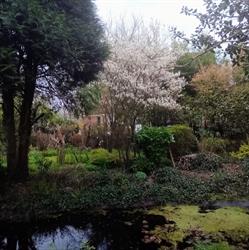 Le jardin d'Astrée, Haverskerque - Horaires d'ouverture