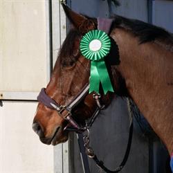 Vexin equi'passion, Gisors - Horaires d'ouverture