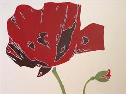 So' Coquelicot, Roscoff - Horaires d'ouverture