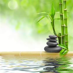 Zen'attitude, Lavilledieu - Horaires d'ouverture